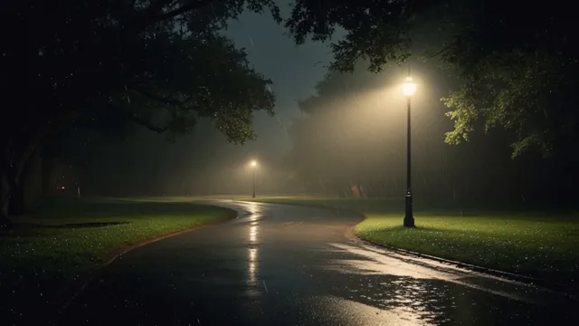 Rainy Park Path